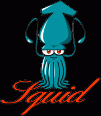 squid, proxy, privacy, version
